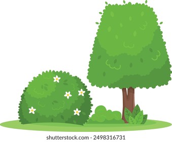 Outdoor nature plants. Tree and bush. Botanical elements isolated on white background