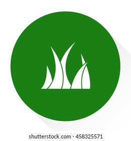 outdoor plants icon