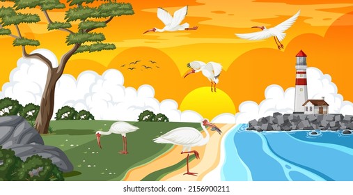 Outdoor scene with American white ibis group  illustration