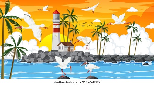 Outdoor scene with American white ibis group  illustration