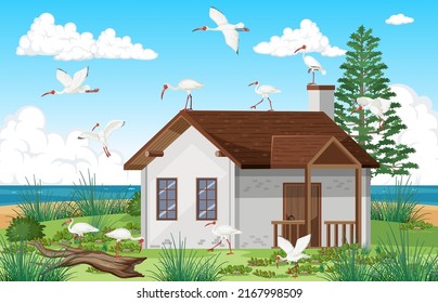 Outdoor scene with American white ibis group  illustration