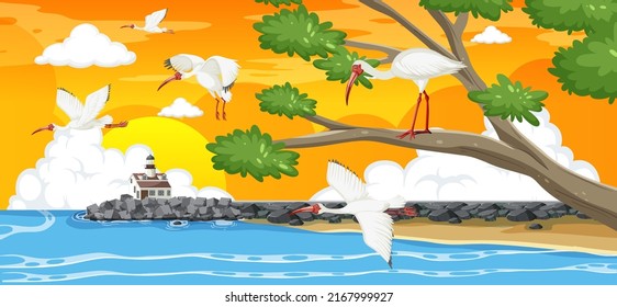 Outdoor scene with American white ibis group  illustration