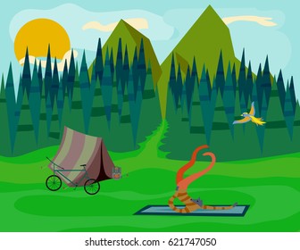 Outdoor Scene With A Wolf Doing Yoga In A Beautiful Forest