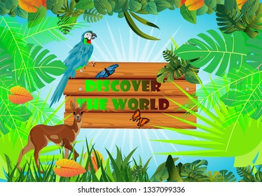 Outdoor tourism concept, jungle floral frame wildlife and tourism, vector illustration