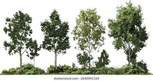 Outdoor trees vector set, gardening plants cutout, nature, transparent background, garden landscape, eco friendly design, greenery, natural elements, horticulture artwork