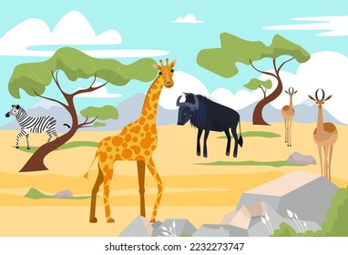 Outdoor wildland savannah landscape, africa wildlife animal giraffe, buffalo and zebra nature reserve park flat vector illustration.