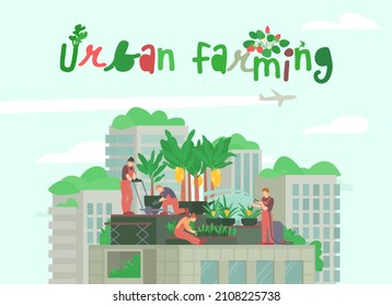 Outdoors urban roof farming graphic design with workers checking plants and harvesting. Controlled-environment smart agriculture. Vertically growing crops. Vector illustration.