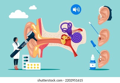 Outer Inner And Middle Ear Diagram. Doctor Otolaryngologist. Otolaryngology Clinic Concept. Deafness Examination And Treatment. Vector Illustration.