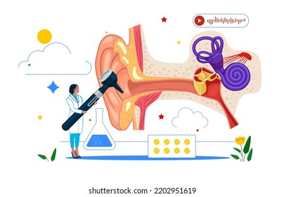 Outer Inner And Middle Ear Diagram. Ent Medical Center. Doctor Otolaryngologist. Deafness Examination And Treatment. Vector Illustration.