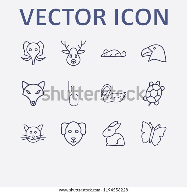 head vector 12