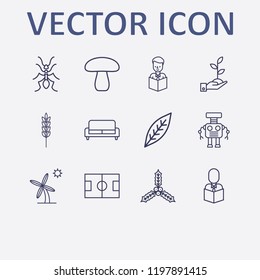 Outline 12 plant icon set. mushroom, leaf, football field, hand with plant, palm and holly berry leaves vector illustration