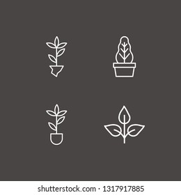 Outline 4 spike icon set. plant pot and plant vector illustration