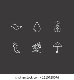 Outline 6 beauty icon set. bird, moon, reading a book and drop vector illustration