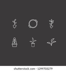 Outline 6 houseplant icon set. plant, flower pot, plant pot and pot vector illustration