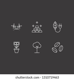 Outline 6 leaf icon set. coffee bean, gold, money tree plant and tree vector illustration