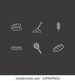 Outline 6 organic icon set. honey dipper, egg, bread and spike vector illustration