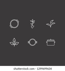 Outline 6 spike icon set. pot and plant vector illustration
