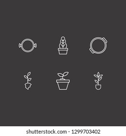 Outline 6 spike icon set. pot, plant and plant pot vector illustration