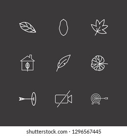 Outline 9 aerial icon set. leaf, targer and forbidden video camera vector illustration