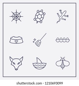 Outline 9 animal icon set. turtle, broom, bee and animal dish vector illustration