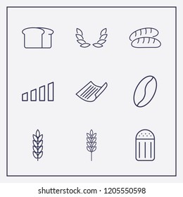 Outline 9 grain icon set. wheat, salt, coffee bean and spike vector illustration