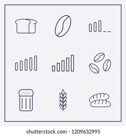 Outline 9 grain icon set. salt, spike, bread and coffee bean vector illustration
