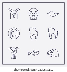 Outline 9 head icon set. bird, parrot head, dog and broken tooth vector illustration