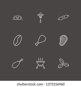 Outline 9 roast icon set. steak, pork, barbecue and chicken leg vector illustration