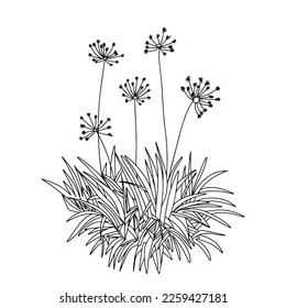 Outline abstract flowers. Vector illustration.