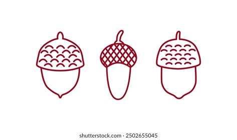 Outline acorns clipart. Oak seeds. Line art, contour, sketch. Golden autumn season. Botanical hand drawn vector illustration.