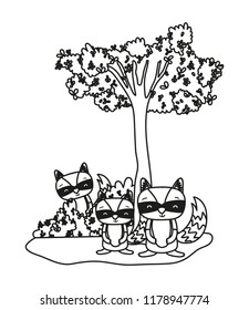outline adorable raccoon friends animal and bushes