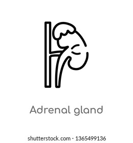 Outline Adrenal Gland Vector Icon. Isolated Black Simple Line Element Illustration From Medical Concept. Editable Vector Stroke Adrenal Gland Icon On White Background