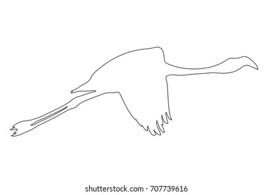 Outline of an african Flamingo - digitally handdrawn illustration on white background