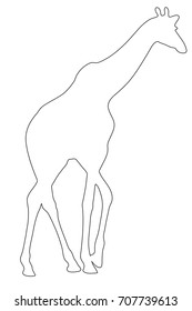 Outline of an african Giraffe - Digitally Hand Drawn Illustration