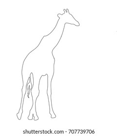 Giraffe Outline Vector Icon Stock Vector (Royalty Free) 1272000862