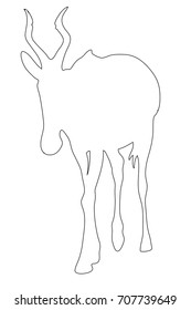 Outline of an african Red Hartebeest - digitally handdrawn illustration on white background