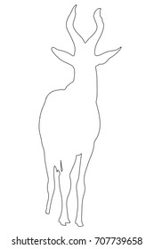 Outline of an african Red Hartebeest - digitally handdrawn illustration on white background