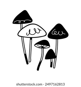 Outline Agaric Laccaria Mushrooms vector set. Hand drawn illustration of fungus in black and white colors. Line art Sketch fungi isolated on white background