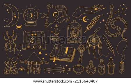 Outline alchemy witchcraft set with hand drawn elements. Magic shop and fairy tale golden vector silhouettes of insect potion skull snake scroll dream catcher. Celestial and astronomy collection