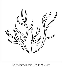 Outline Algae Plant Abstract Vector Element