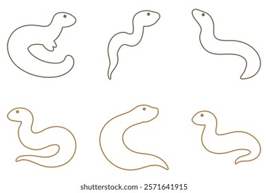 Outline Amphiuma Illustration Design Set