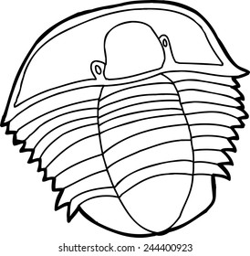 Outline of ancient trilobite fossil drawing over white
