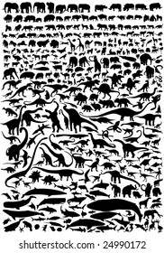 Outline of the animal world