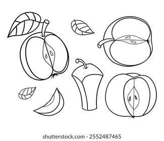 Outline Apples set. Linear hand drawings. Cut fruits, slice, half and leaves. Isolated elements on white. Vector illustration. Coloring Page. Kids collection.