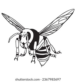Outline art Killer Bee Variant 2 ,good for graphic resources, printable art, suitable for design resources, logo, template designs, and more. 