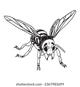 Outline art Killer Bee Variant 1 ,good for graphic resources, printable art, suitable for design resources, logo, template designs, and more. 