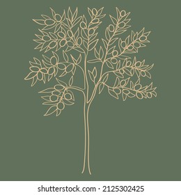 Outline art of olive tree. On green background.