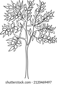 Outline art of olive tree. Vector illustration.