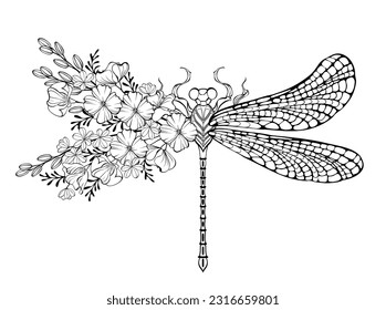 Outline, artistically drawn, floral dragonfly with wing decorated with California poppy and wild plants on white background. Coloring floral dragonfly.