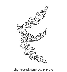 Outline arugula falling concept, levitating arugula, rocket, eruca, rucola vector illustration